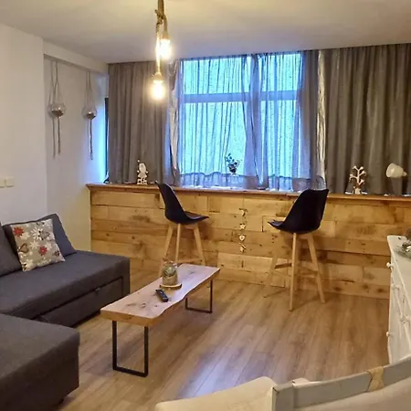 Apartment El Sarrio Candanchu