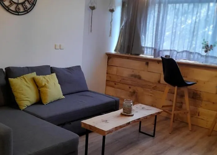 El Sarrio Apartment Candanchú